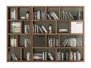 Βιβλιοθήκη Νο1086